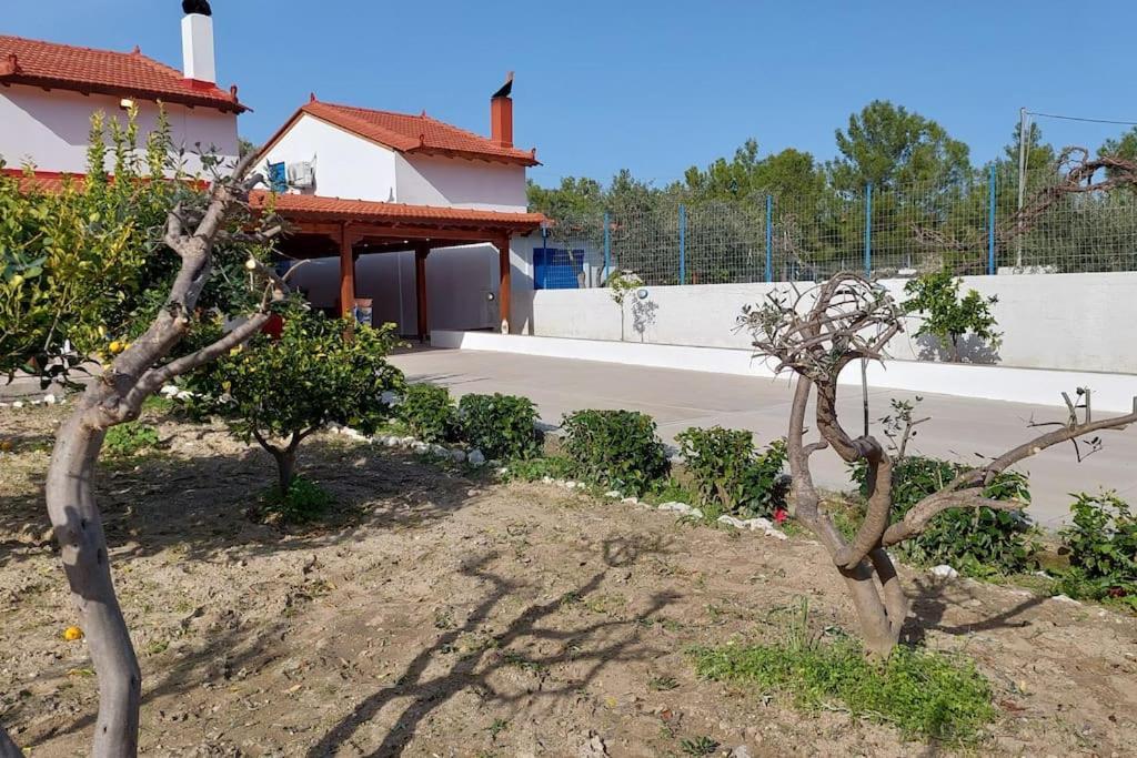 Aleyna House Lindos Area 빌라 외부 사진